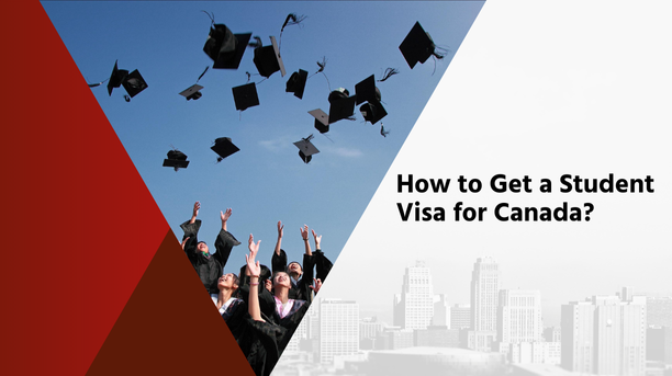 You are currently viewing How to Get a Student Visa for Canada?