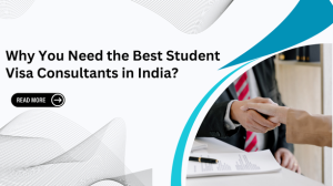 Why You Need the Best Student Visa Consultants in India